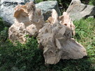 Kamień ozdobny Róża Pustyni bryła skałka kamień do ogrodu - 4