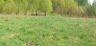 Sprzedam działkę 26 ar. - 4