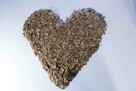 herbata ILEX GUAYUSA energia, relax,silniejsza od Yerba Mate. - 2