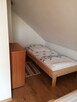 Usługi noclegowe pod świerkami - 3
