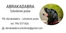 Abrakadabra - szkolenie psów, behawiorysta - 1