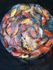Narybek do stawów karp amur tołpyga łun karaś itp. - 3