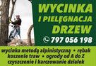 Wycinka pielęgnacja drzew czyszczenie koszenie działek rębak - 1