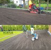 Ogród, usługi, glebogryzarka, zakładanie trawnika siew/rolka - 5