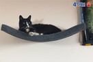Półka dla kota, legowisko ŁUK 60 cm od 4MyPet.net - 2