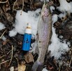 Fish XXL 50 ml spray - oryginalny atraktor od producenta - 5