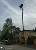 Wycinka i pielęgnacja drzew - 12