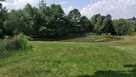 Wycinka i pielęgnacja drzew - 15