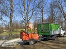 Wycinka i pielęgnacja drzew - 9