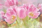 Obraz na płótnie Różowe tulipany - 2
