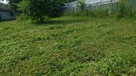 Koszenie trawy , kosą spalinową, wysoka trawa, karczowanie - 8