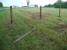 Koszenie trawy , kosą spalinową, wysoka trawa, karczowanie - 2