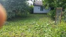 Koszenie trawy , kosą spalinową, wysoka trawa, karczowanie - 5