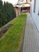 Koszenie trawy Katowice Rębakowanie wycinka drzew wertykulac - 5