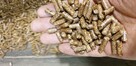 PROMOCJA - Pellet drzewny - Producent - 2
