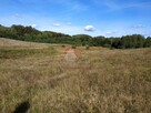 11 HA KLONOWO DOLNE gmina Przywidz - 8