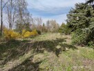Sprzedam budynki gospodarcze - 14