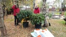 Odnawianie ogrodu przycinanie drzew Nawodnienie - 14
