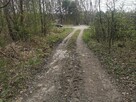DZIAŁKA LEŚNA - 7