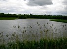 Stawy Hodowlane 20ha - 5