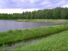 Stawy Hodowlane 20ha - 6