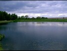 Stawy Hodowlane 20ha - 4