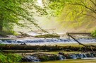 Domek wczasowy Zielony Dół na Roztoczu - 10