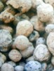 Podłoże ogrodowe kompost welna, perlit styropian hurt - 4