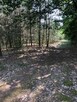 Działka Inwestycyjna Nieporęt- NAD Zalewem Zegrzyńskim - 12