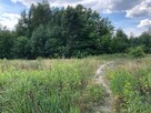 Działka Inwestycyjna Nieporęt- NAD Zalewem Zegrzyńskim - 5