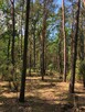 Działka Inwestycyjna Nieporęt- NAD Zalewem Zegrzyńskim - 11