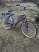 rower Batavus męski - 3