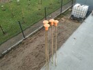 Nakładka na pręty zbrojeniowe osłonka grzybek 250 szt 6-18mm - 3