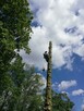 Wycinka I pielęgnacji drzew oraz uslugi ogrodnicze - 3