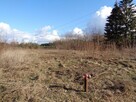 Działka Nad Jeziorem Ślesińskim - 11