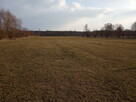 Sprzedam gospodarstwo rolne - 2