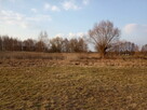 Sprzedam gospodarstwo rolne - 3