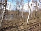 Działka Nad Jeziorem Ślesińskim - 3