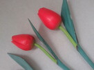 Czerwone Tulipany Drewno - 9