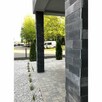 Płytki wapień Chittor Black naturalny 30x60x1,3cm - 4