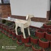 kwietnik skrzynka donica doniczka ozdoba jeleń łania - 8