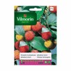 NOWOŚĆ!!! DRZEWKO TRUSKAWKOWE - ARBUTUS UNEDO - NASIONA 40 S - 3