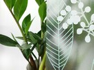 Folia okienna statyczna delikatne liście bez kleju dekoracja - 3