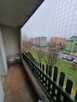 Montaż kolców przeciw ptakom - 3