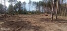 Wertykulacja, aeracja i koszenie trawników. BanGarden - 11