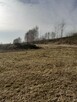 Działka na jurze Dzibice - 4