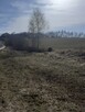 Działka na jurze Dzibice - 8