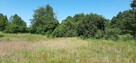 Działka nad rzeką Wkrą 7200 m2 - 3