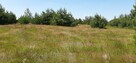 Działka nad rzeką Wkrą 7200 m2 - 4