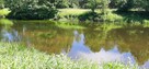 Działka nad rzeką Wkrą 7200 m2 - 1